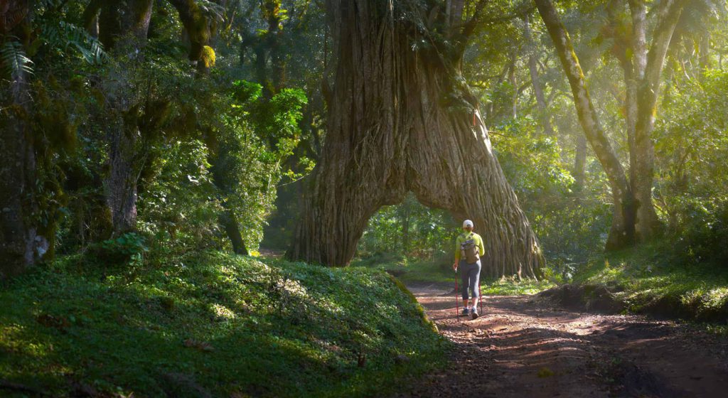 Arusha-National-Park-hiking