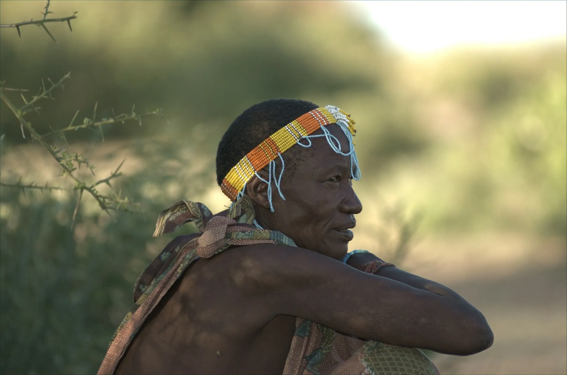 Hadzabe the last bushmen