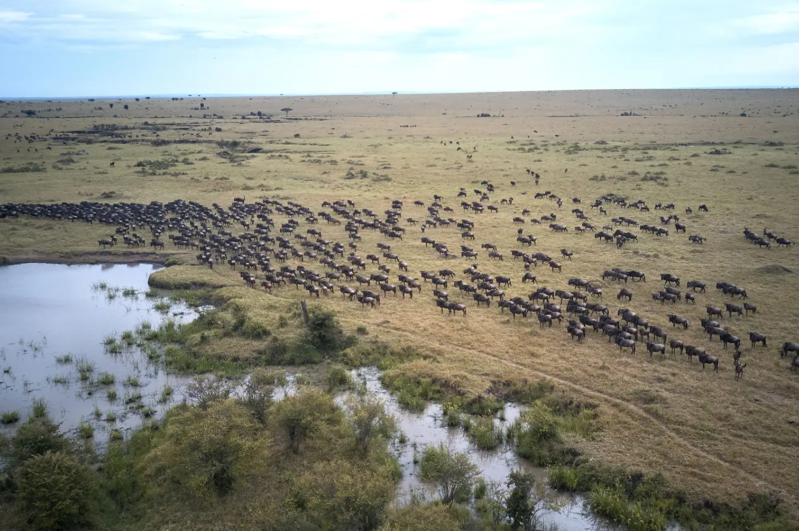 4-days-kenya-safari-peak-season-private3