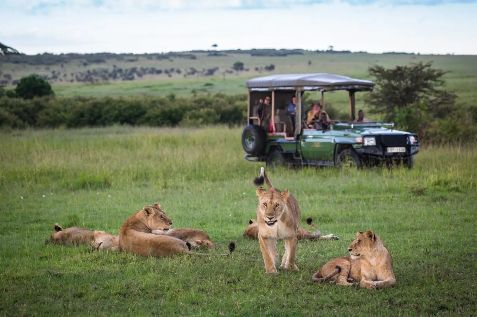 4-days-kenya-safari-peak-season-private4