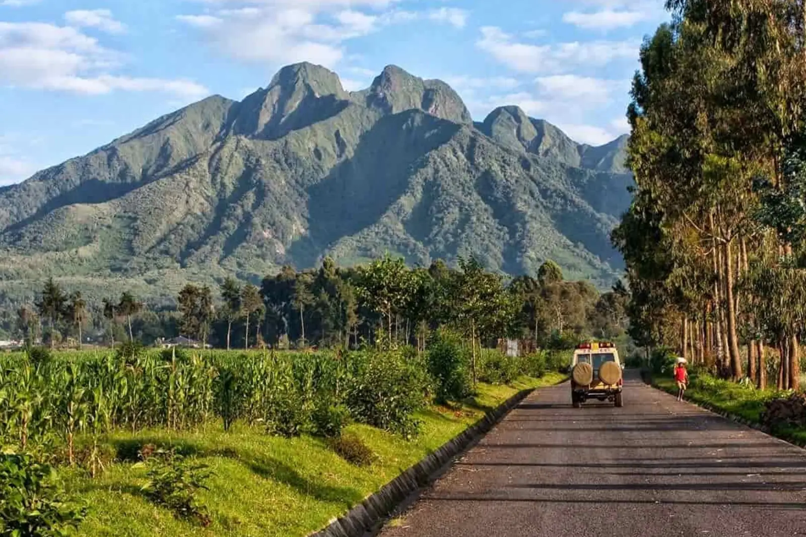 4-days-rwanda-gorilla-encounter-20251