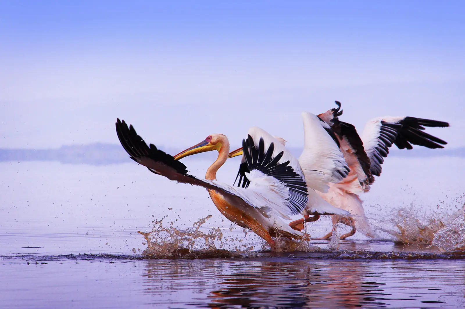 6-days-kenya-safari-20262