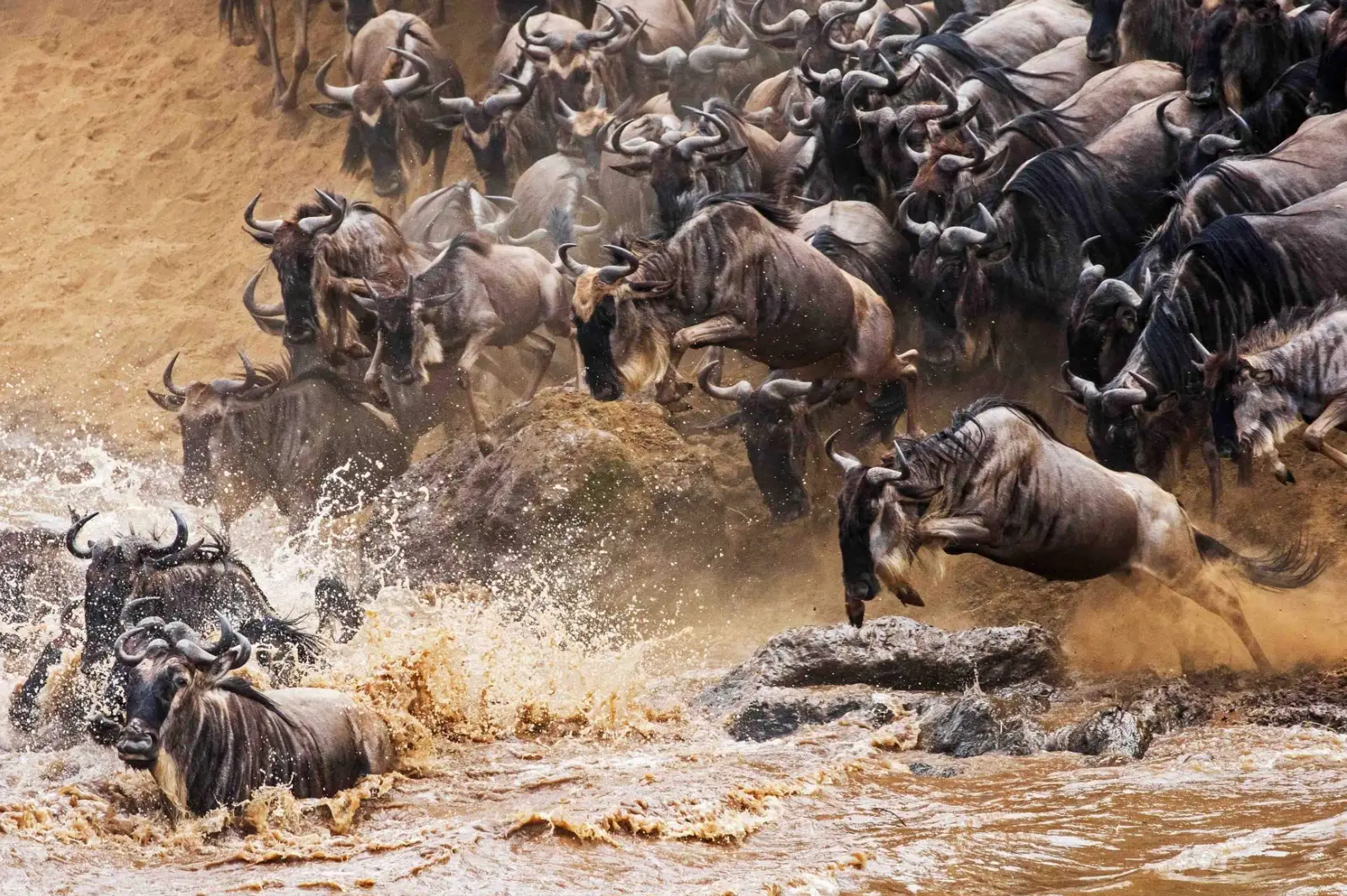 6-days-kenya-safari-20263