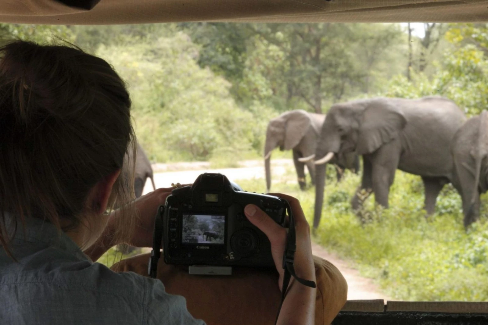 10-days-tanzania-photographic-safari-1