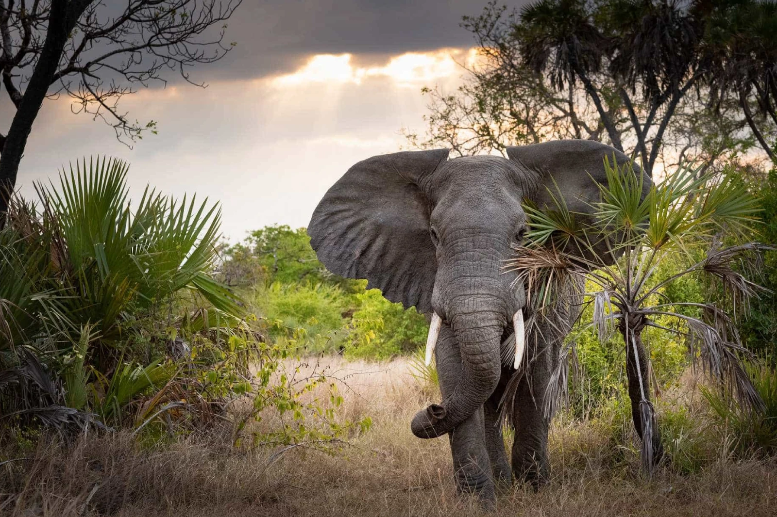 10-days-tanzania-photographic-safari-3