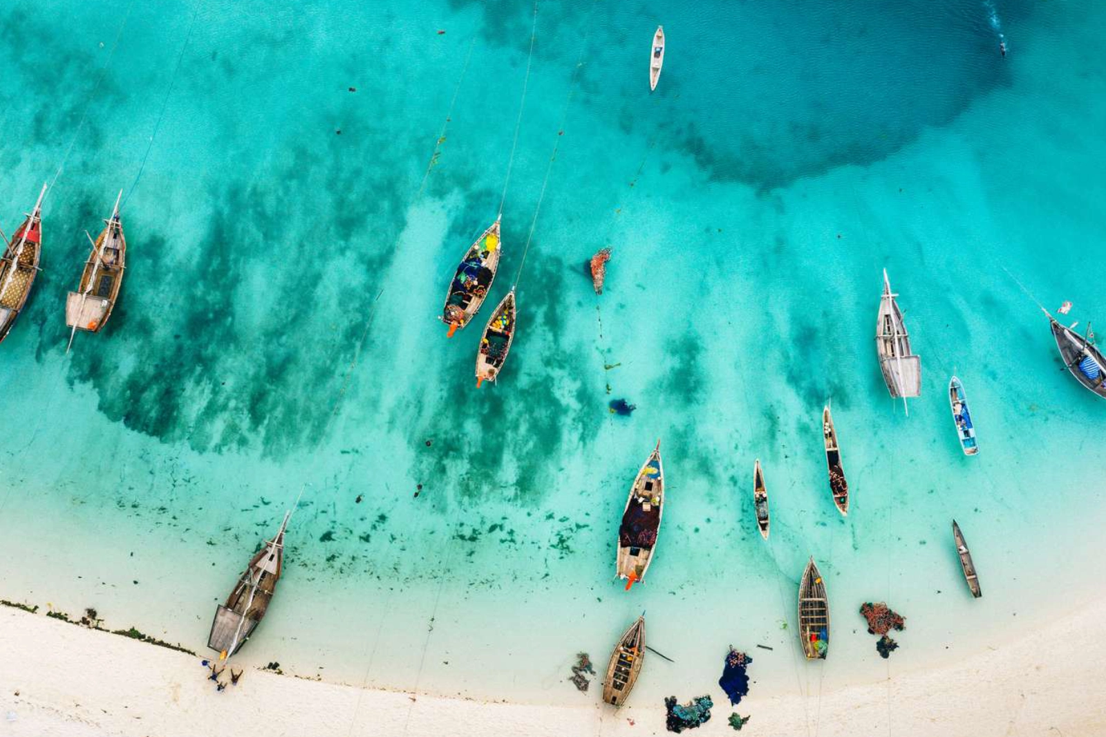 12-days-safari-and-beach-retreat-1