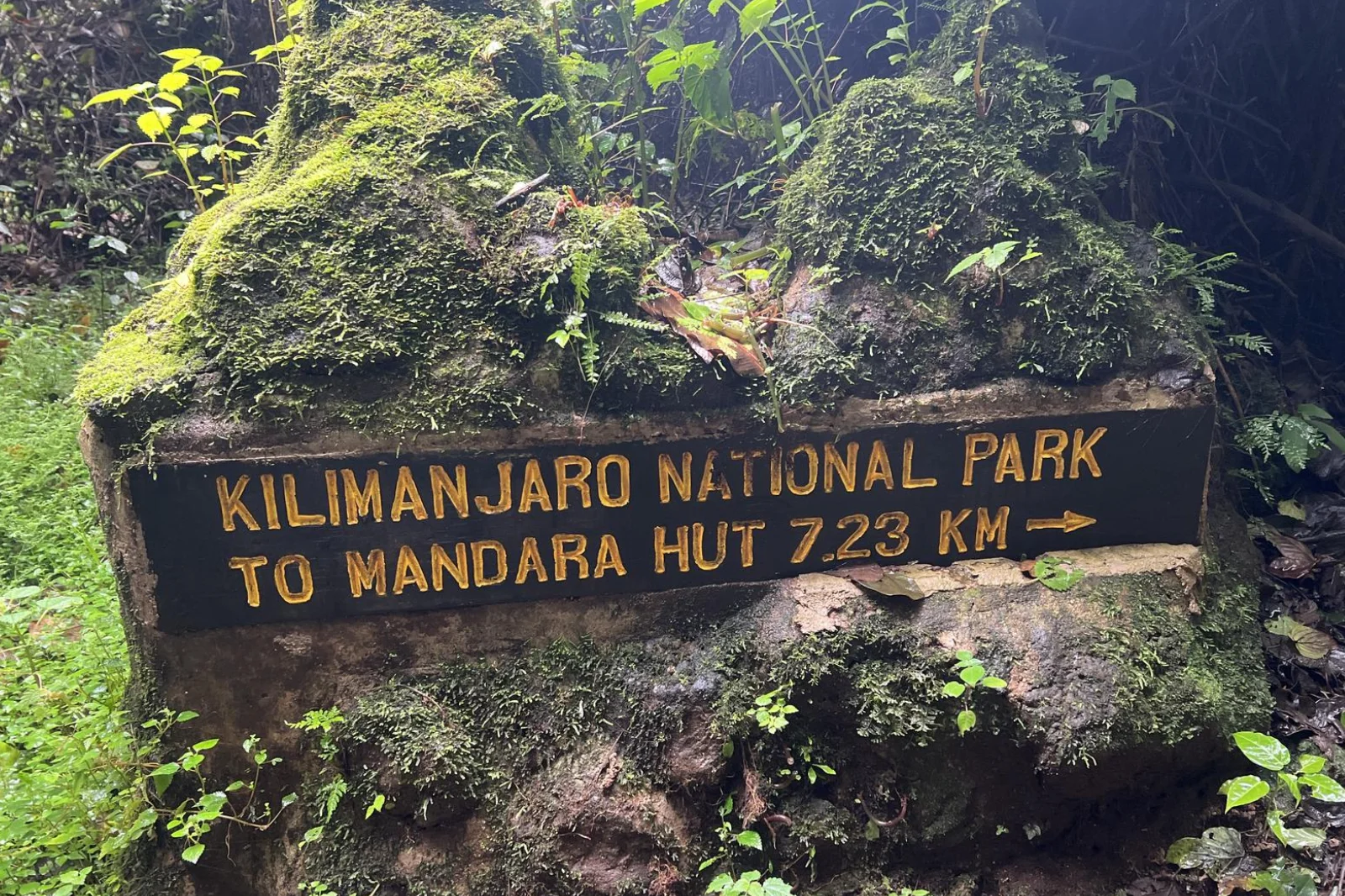 6-days-marangu-route-1