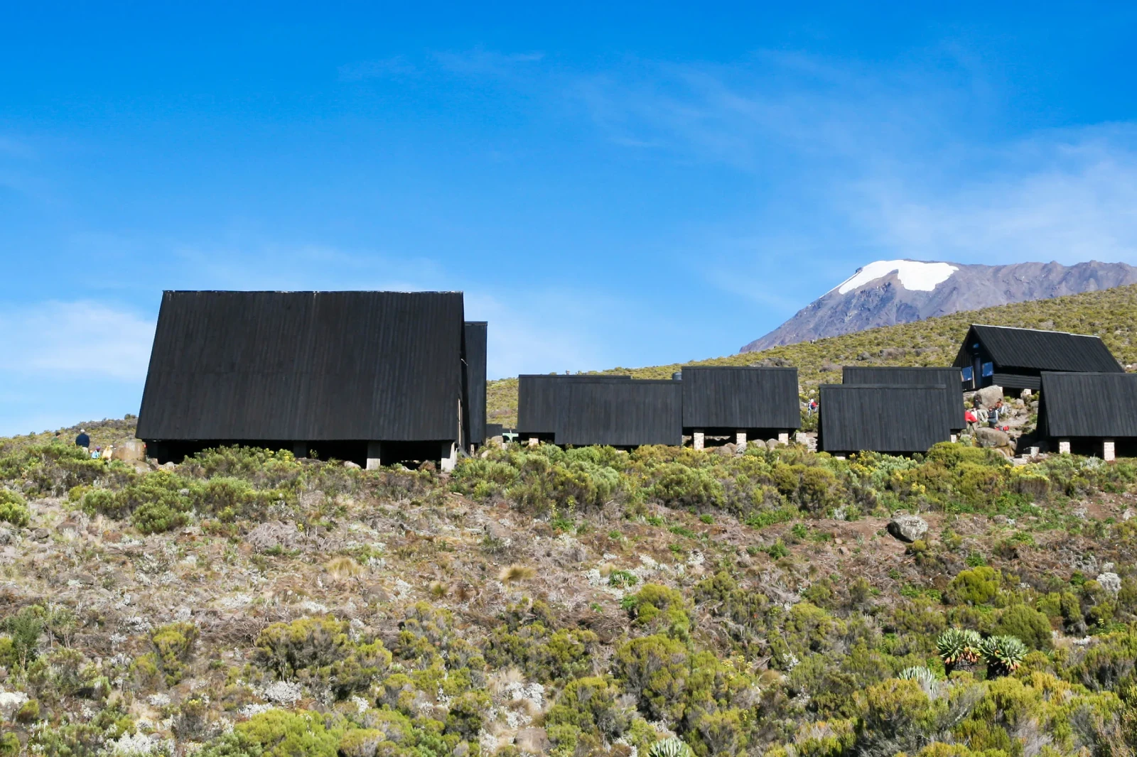 6-days-marangu-route-3