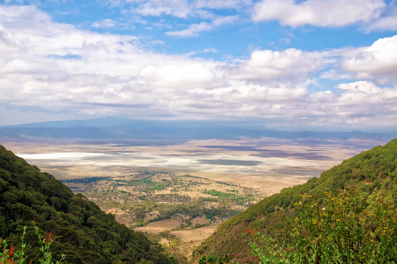 6-days-the-best-of-tanzania-wildlife-safari-2