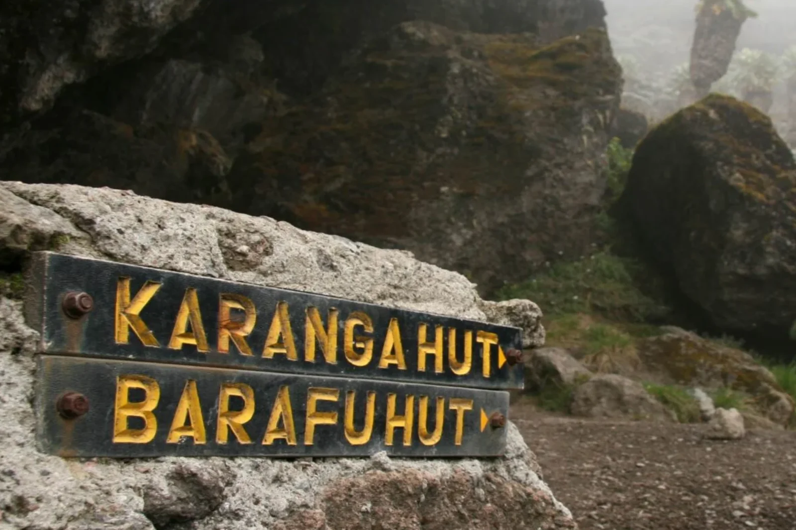 7-days-lemosho-route-2