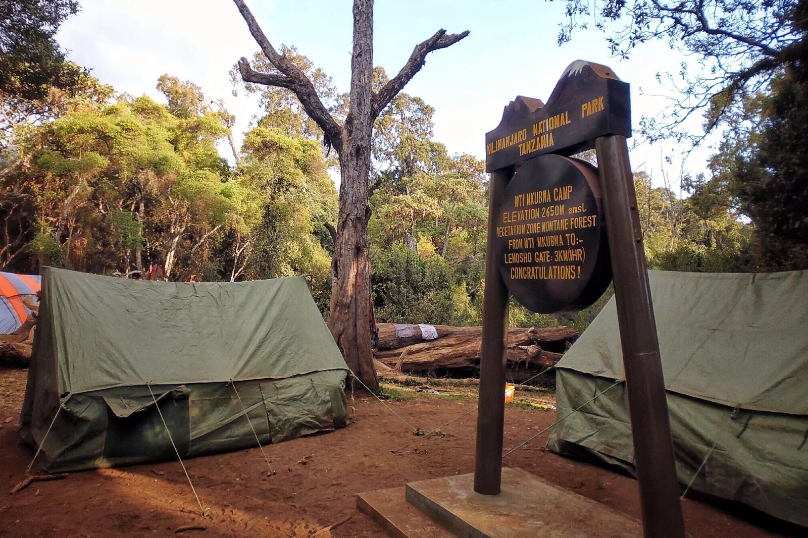 7-days-lemosho-route-3