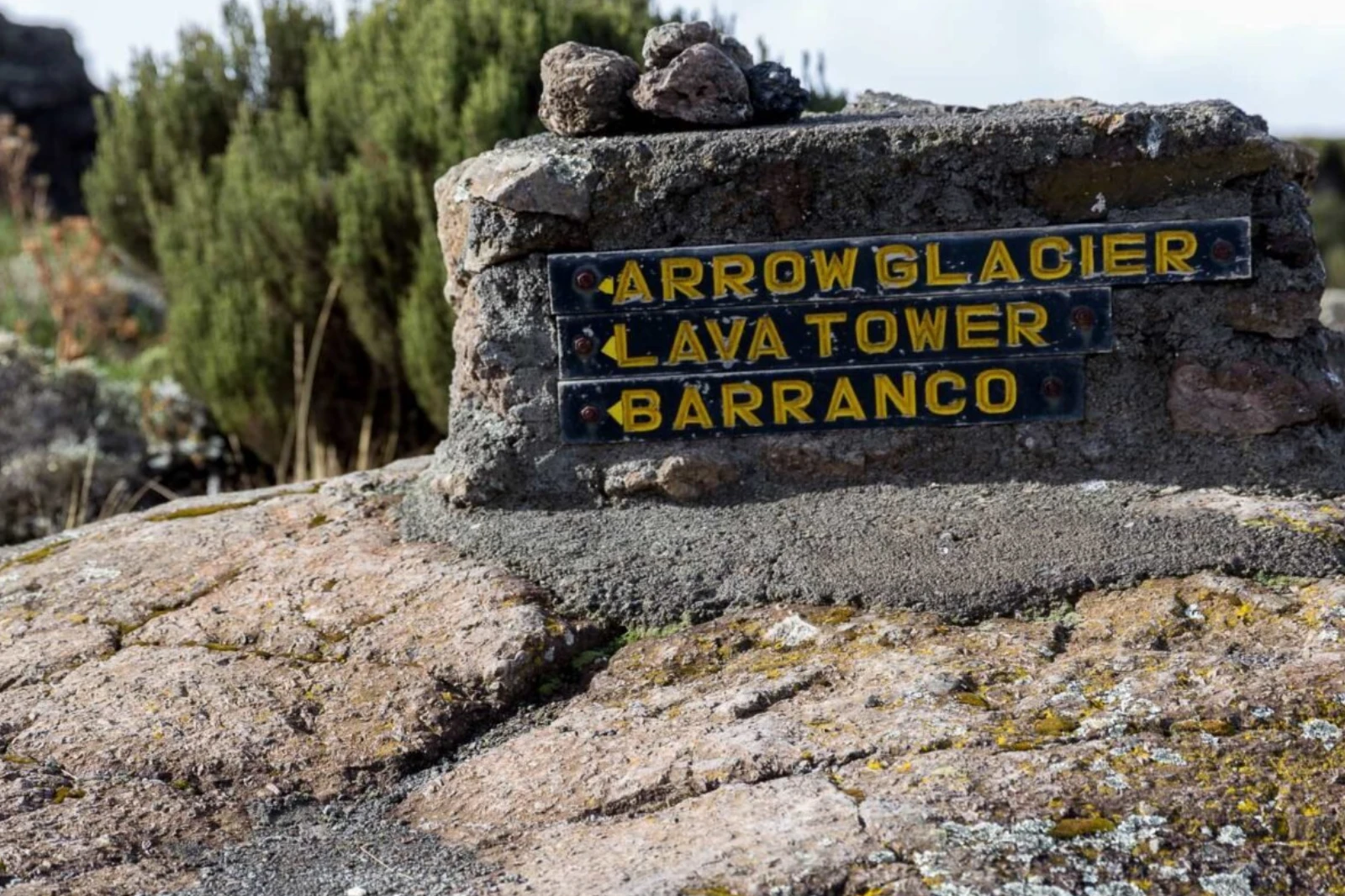 7-days-machame-route-2 (1)