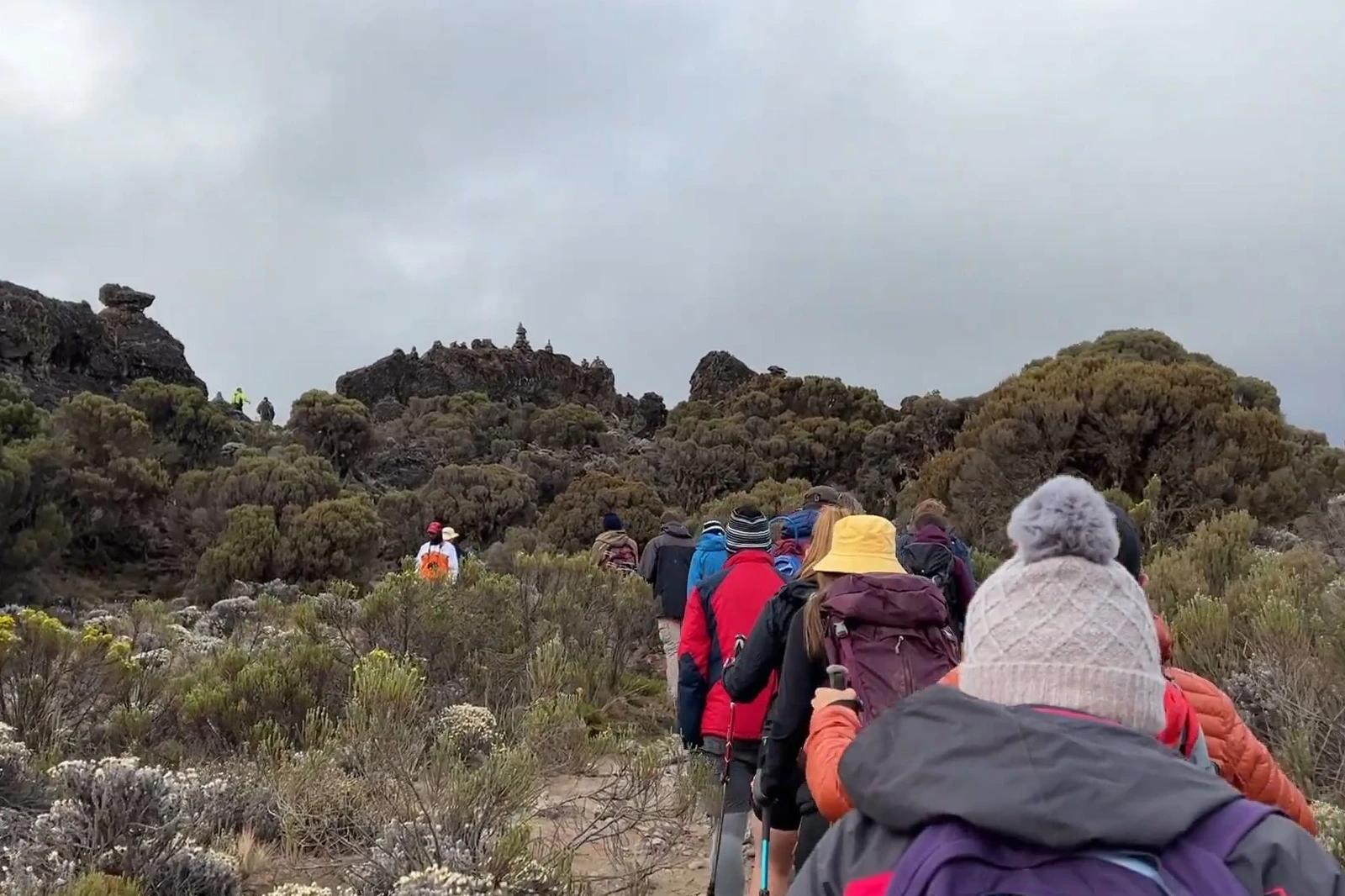 7-days-machame-route-3