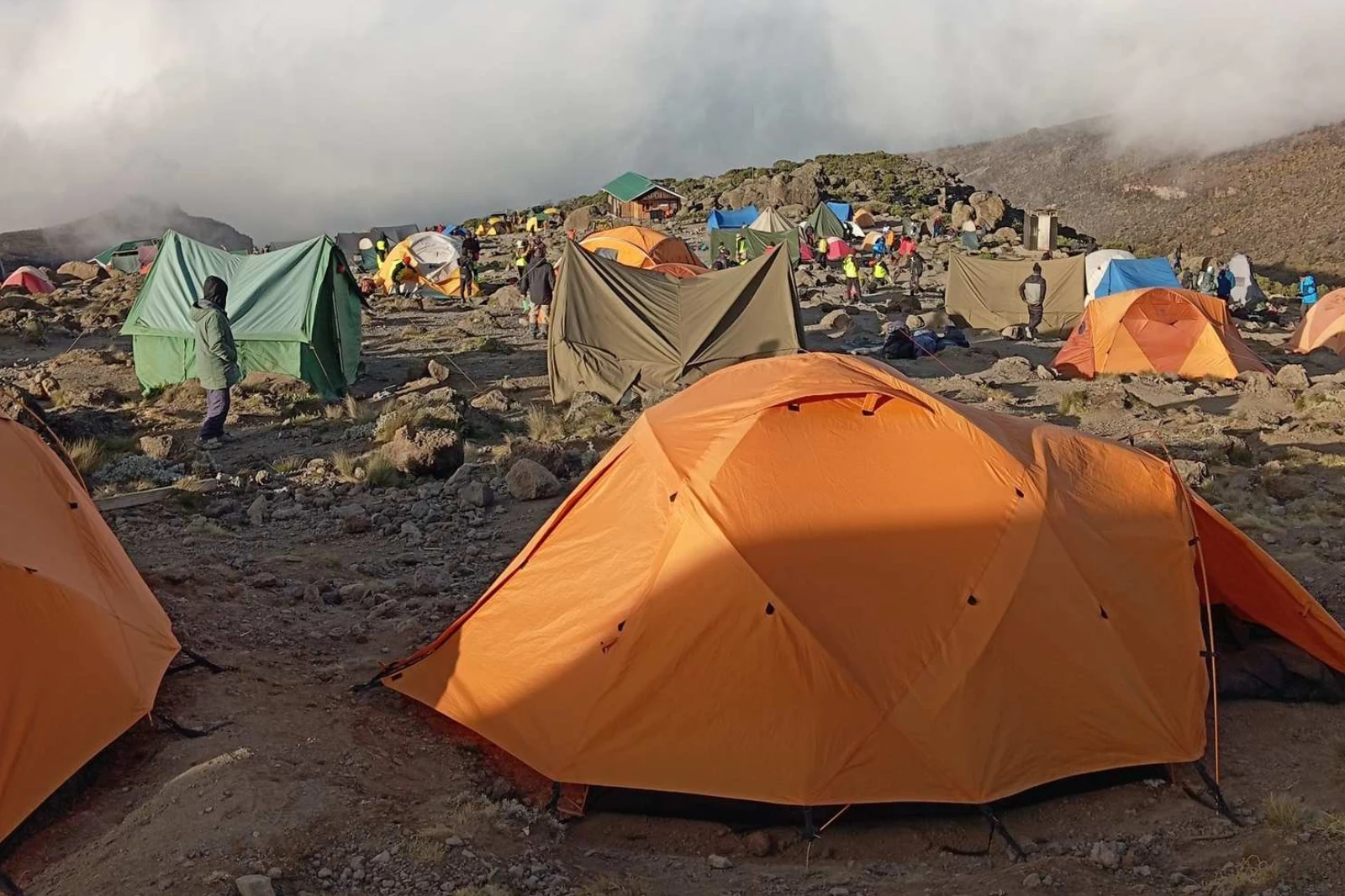 8-days-lemosho-route-3