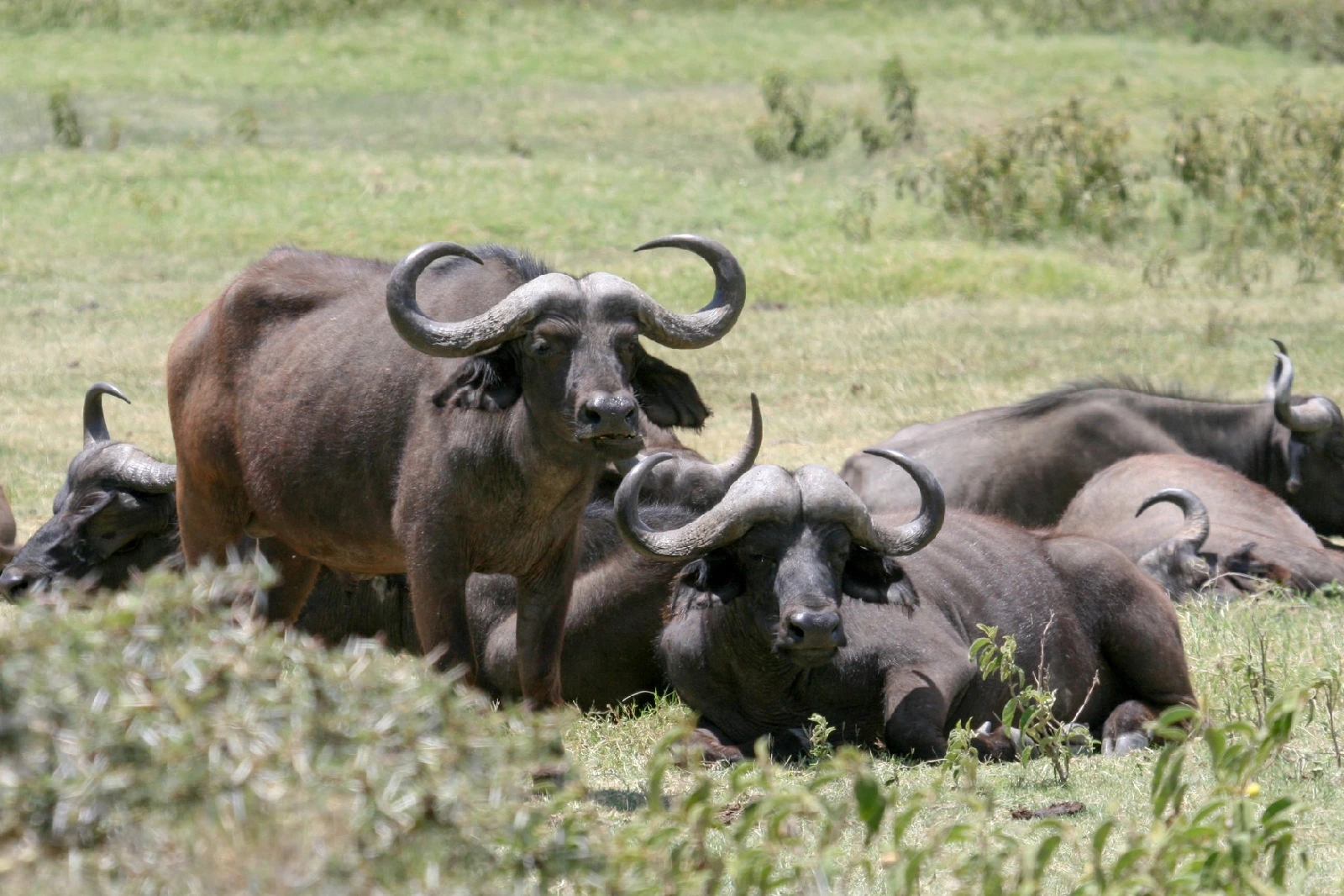 arusha-national-park-day-trip-3