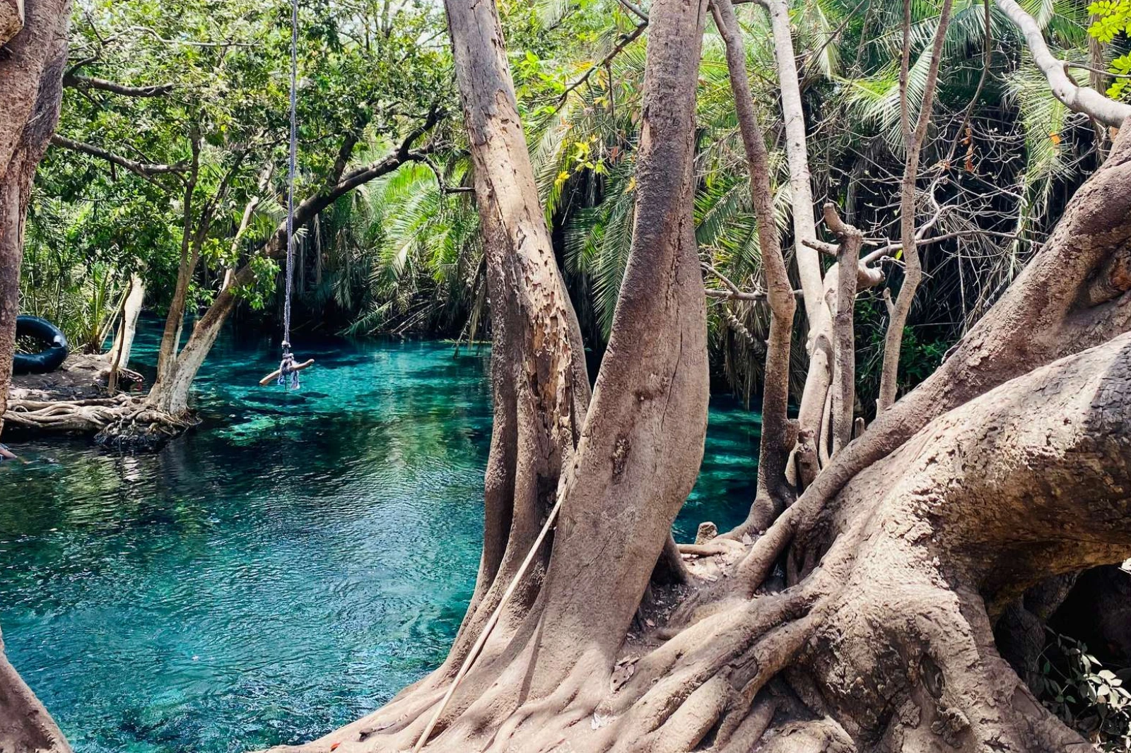 kikuletwa-hot-springs-day-trip-1