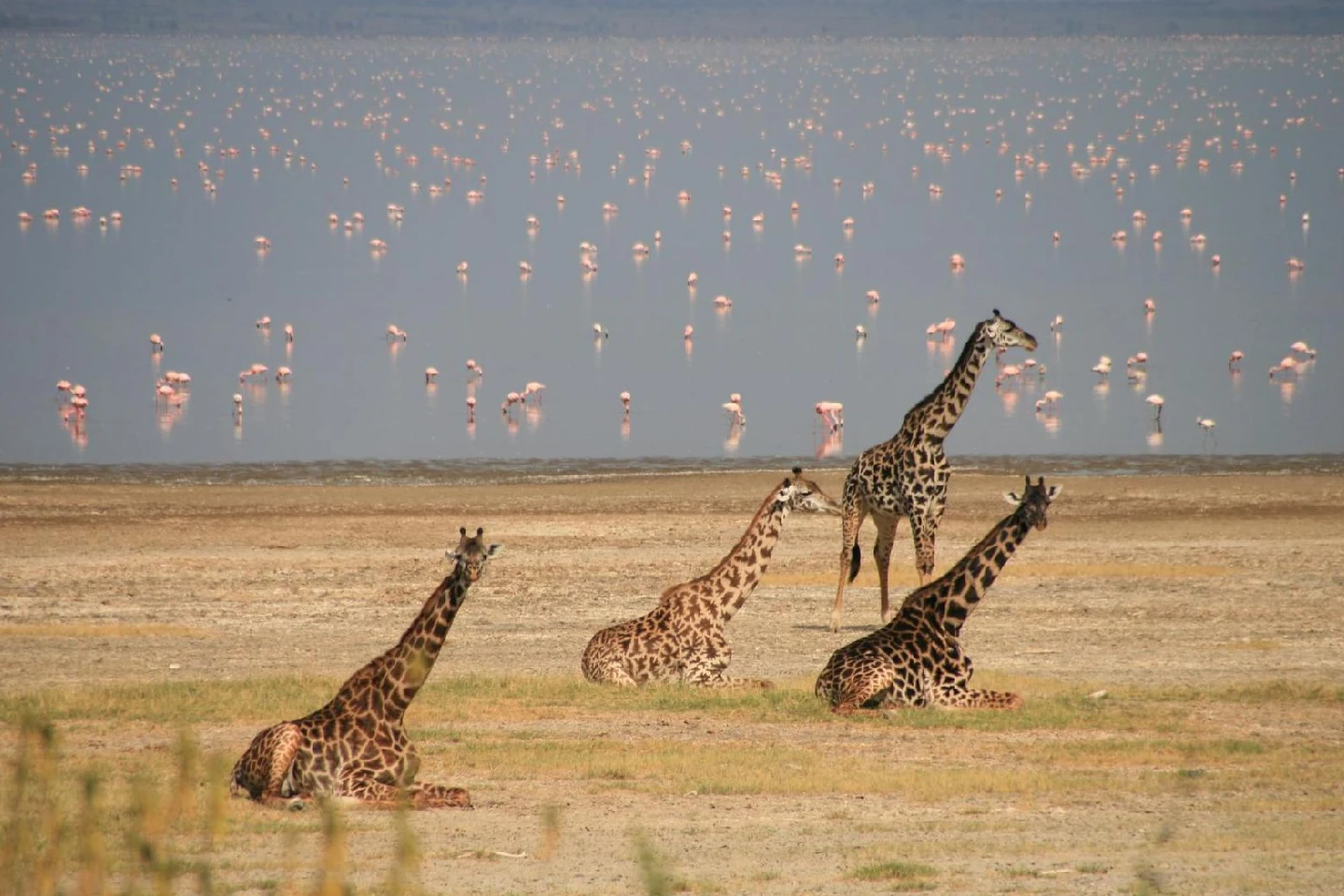 Lake Manyara attraction