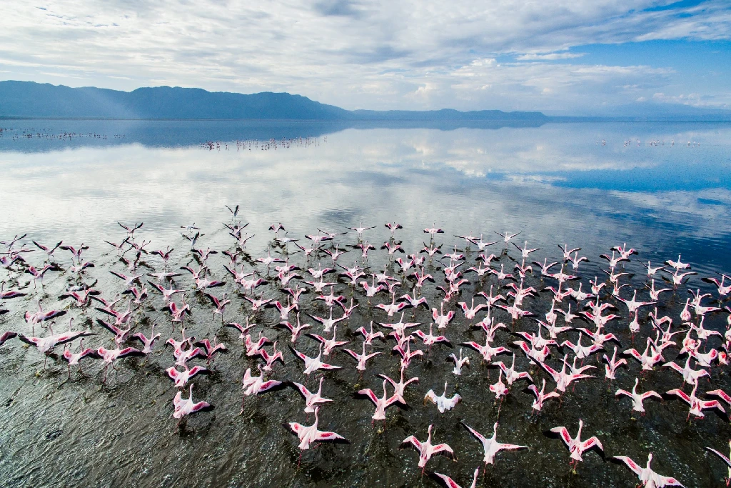 Lake Manyara attraction