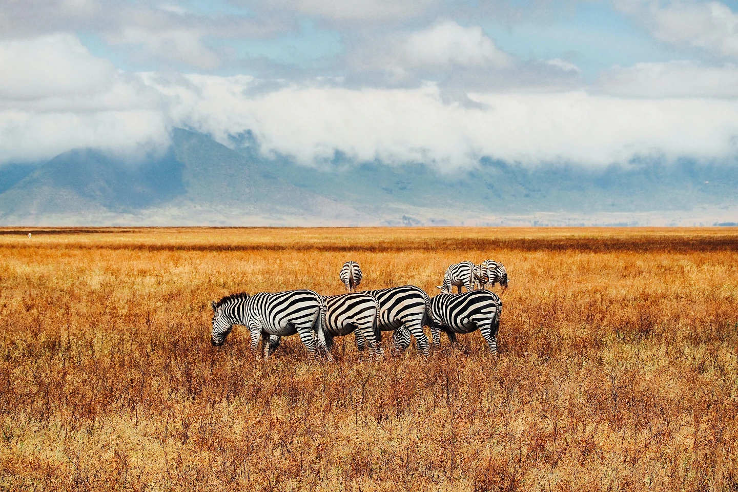 ngorongoro attraction