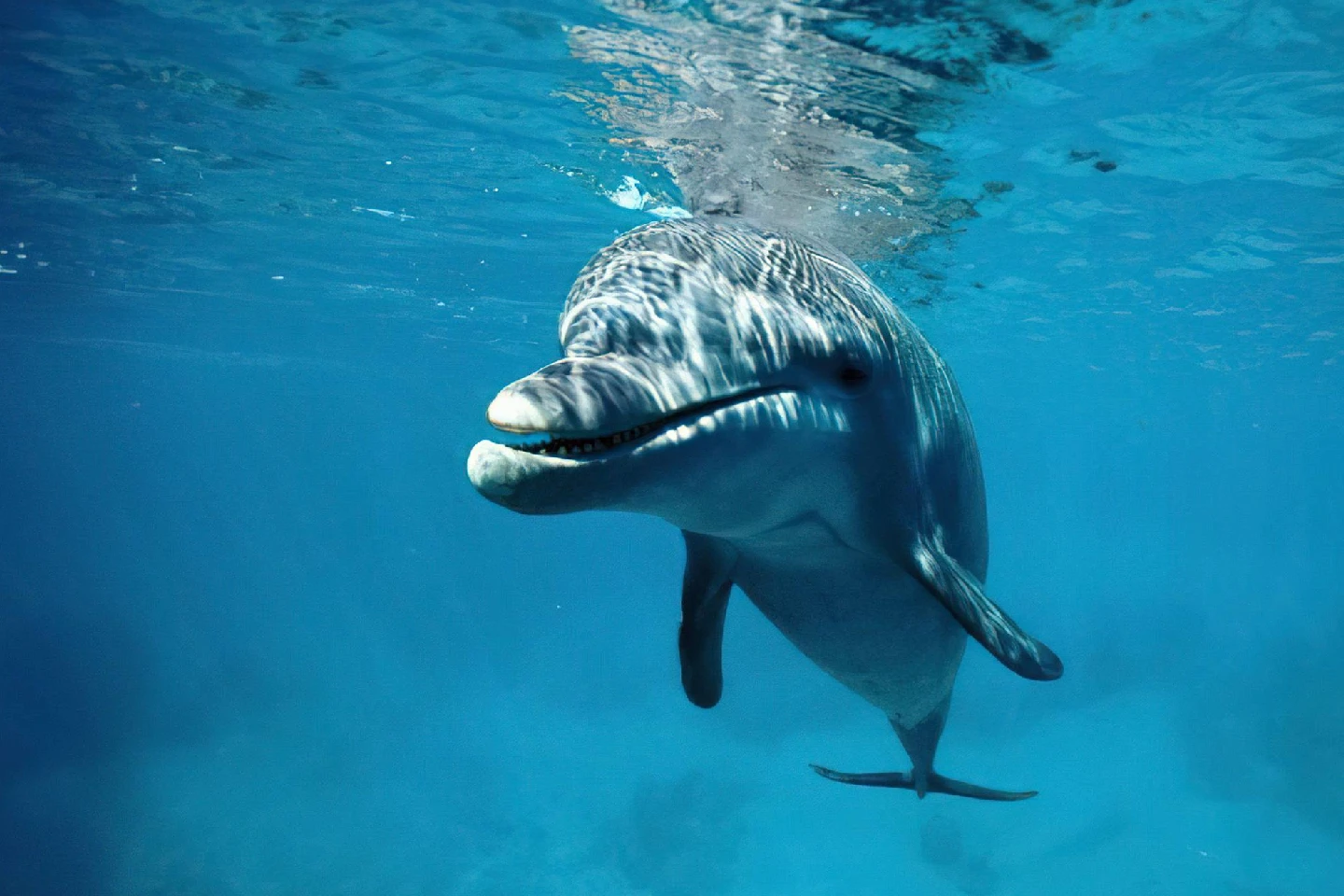 zanzibar island attraction